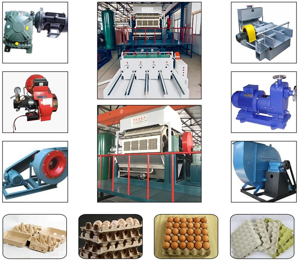 p20240619095812307b6 p20240619095812307b6